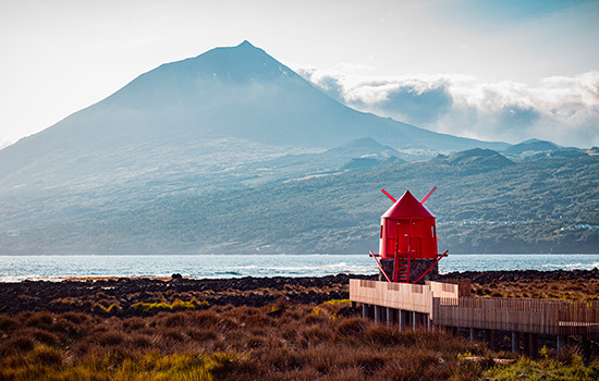 Car Rental Pico Island